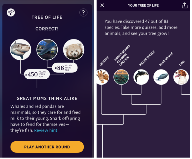 Tree of Life game screenshots