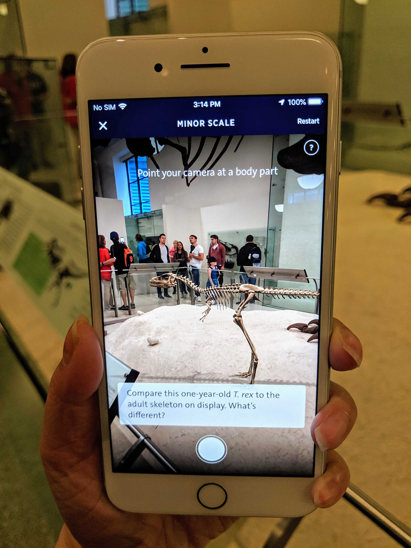 A screenshot of a hand holding a smartphone that is displaying a 1-year-old T. rex skeleton overlaid in the Museum's physical exhibits