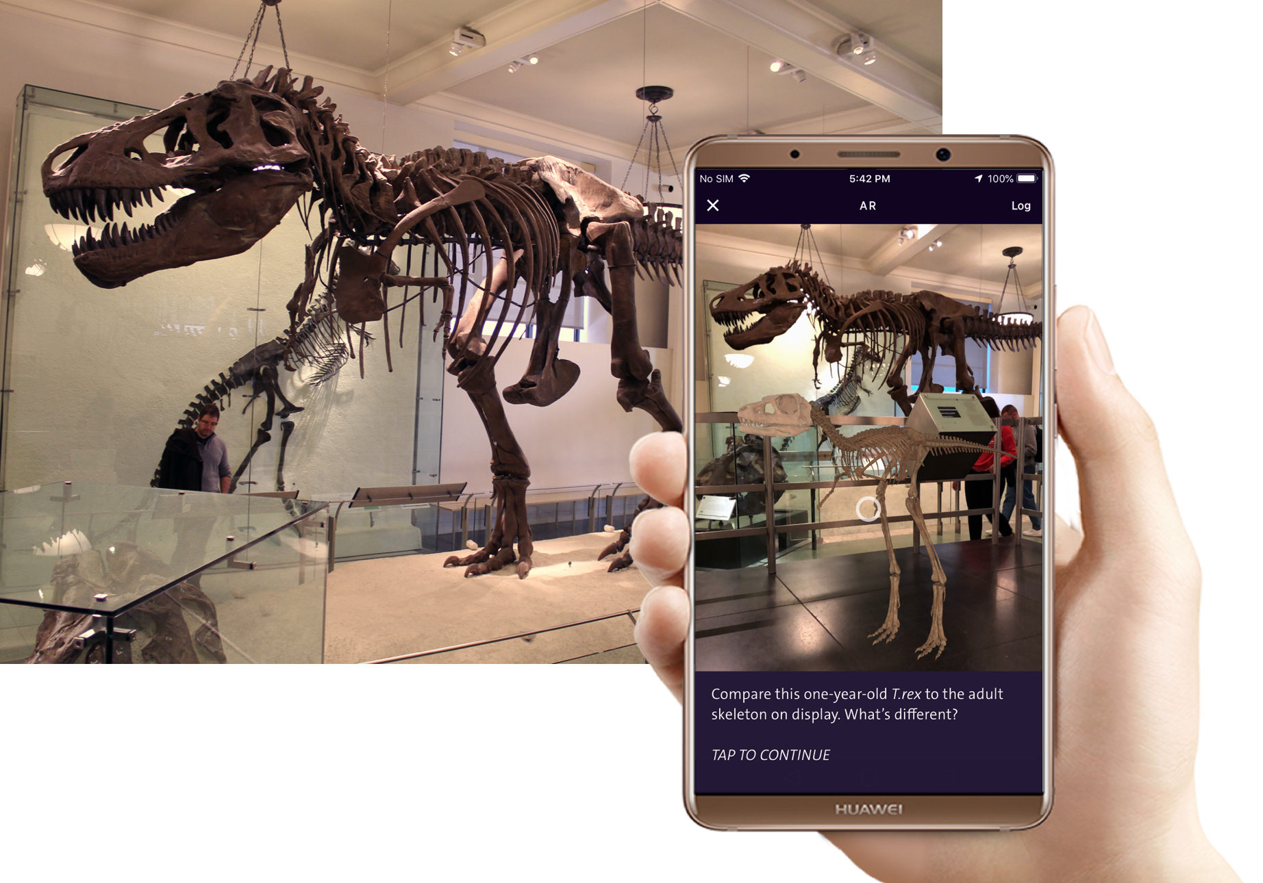 A screenshot of a hand holding a smartphone that is displaying a 1-year-old T. rex skeleton overlaid in the Museum's physical exhibits