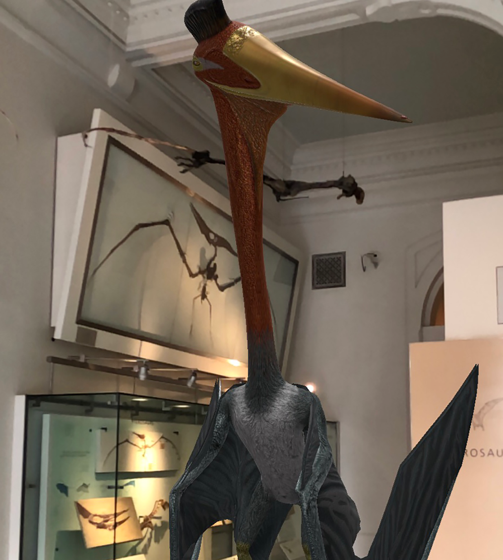 A screenshot of a hand holding a smartphone that is displaying a Quetzalcoatlus in real size overlaid in the Museum's physical exhibits